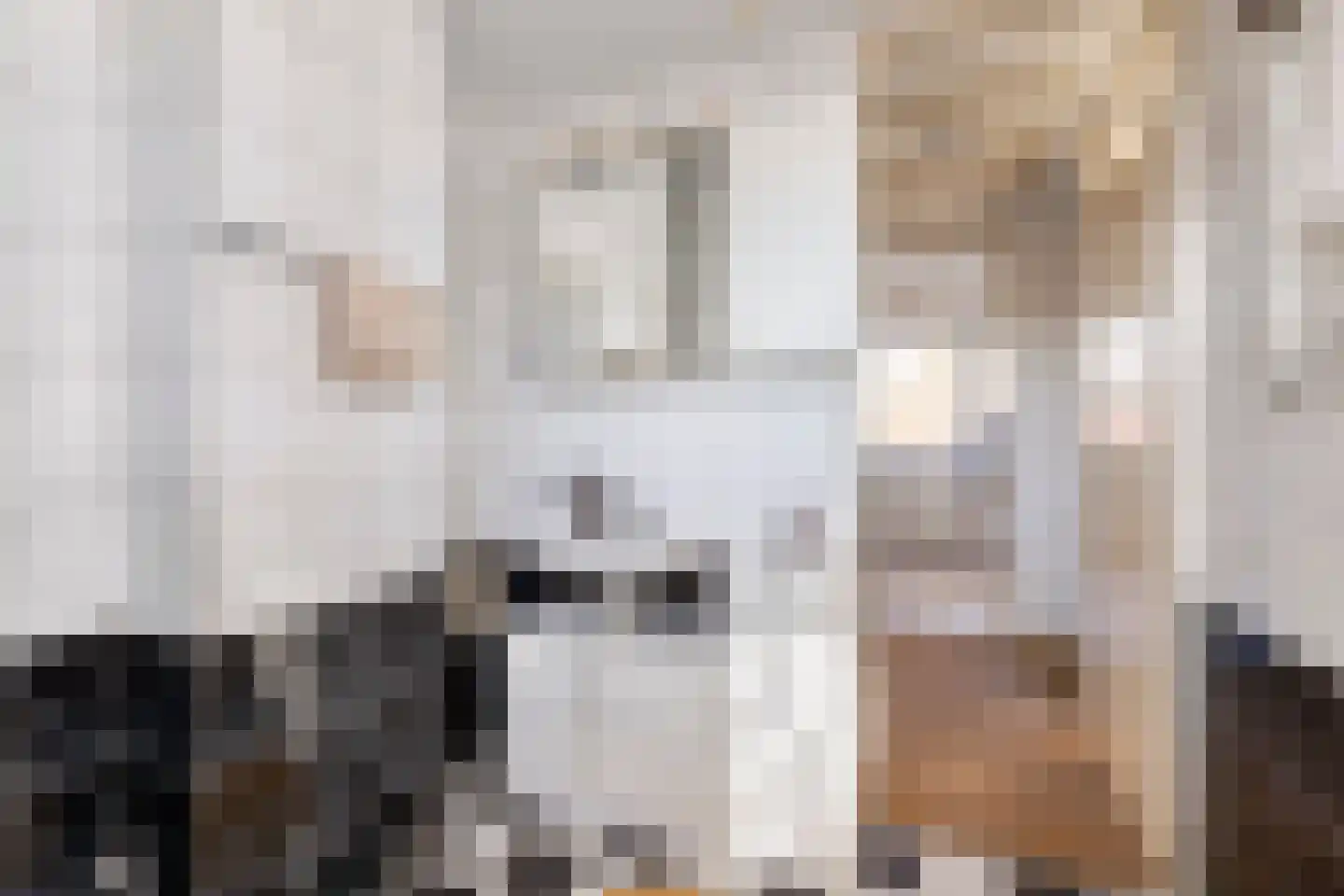 Bunnemaheerd 66 Groningen thumbnail 17