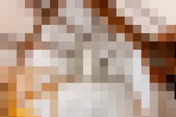 Bunnemaheerd 66 Groningen thumbnail 20