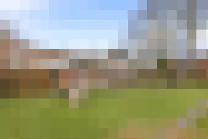 Bunnemaheerd 66 Groningen thumbnail 23