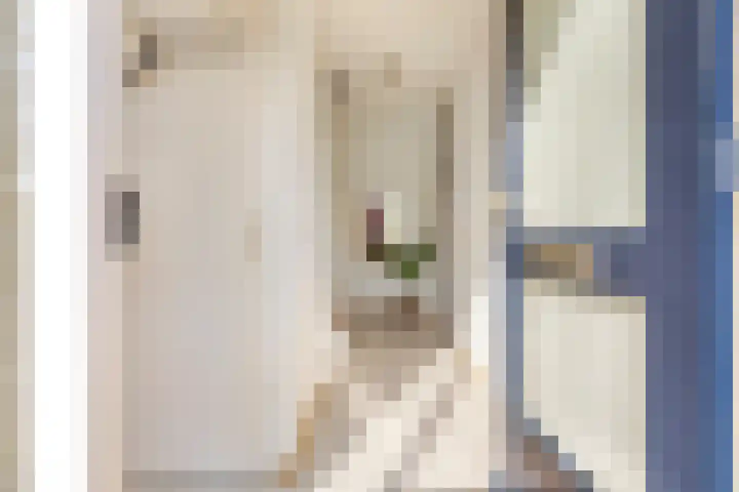 Bunnemaheerd 66 Groningen thumbnail 6