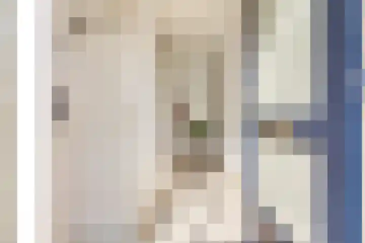 Bunnemaheerd 66 Groningen thumbnail 6