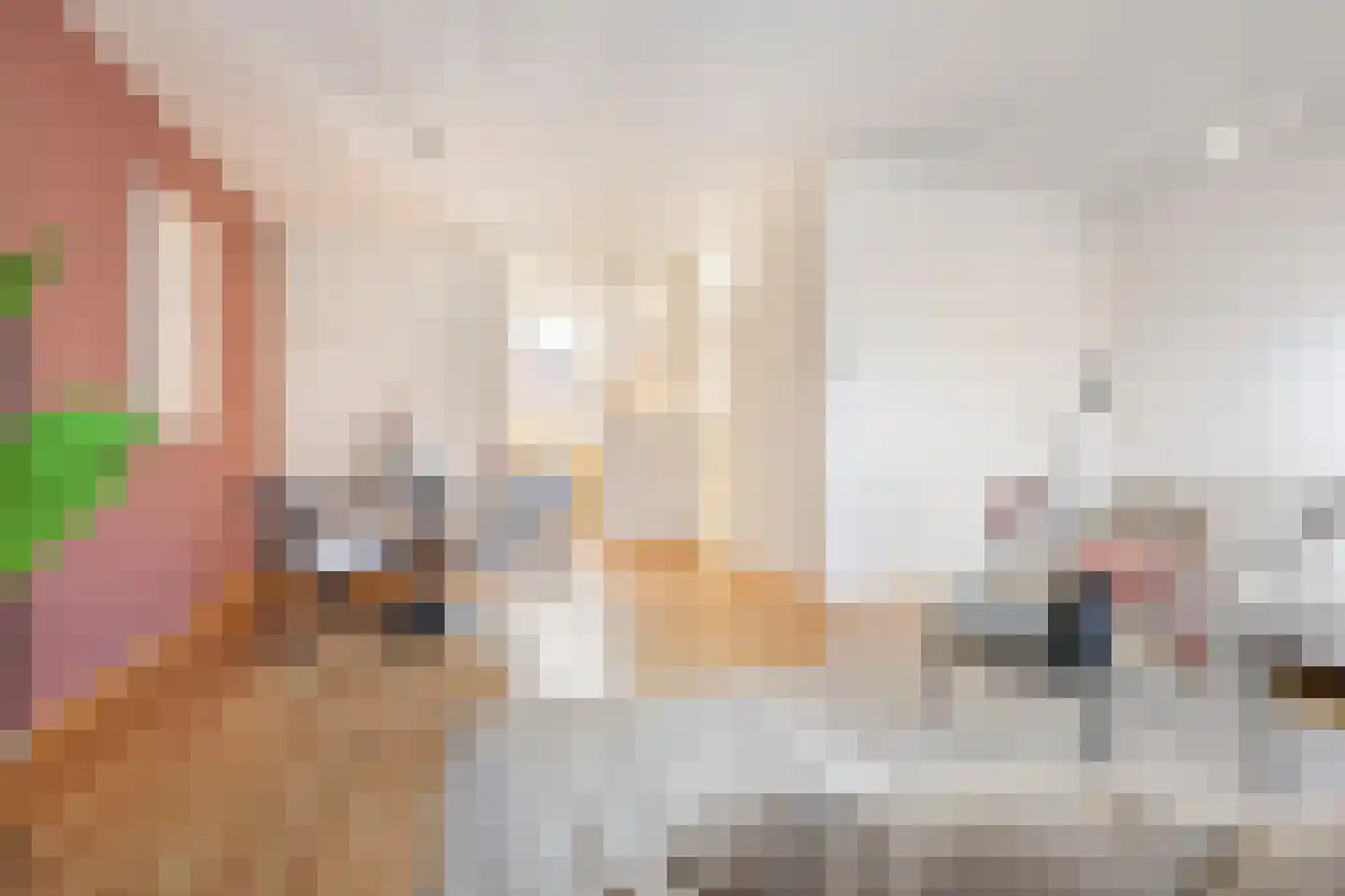 Bunnemaheerd 66 Groningen thumbnail 8