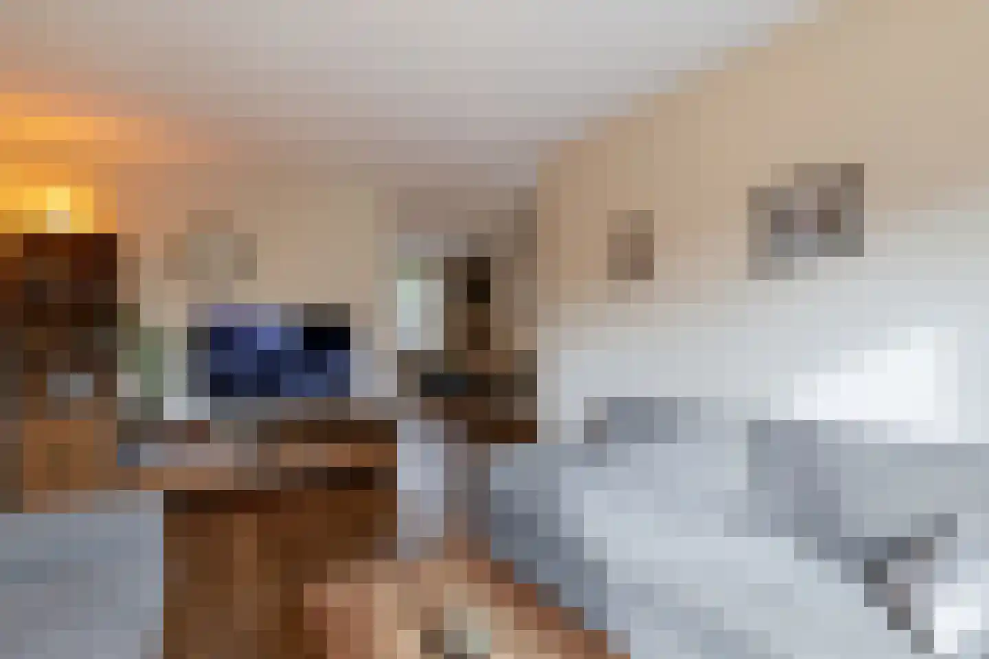 Bunnemaheerd 74 Groningen thumbnail 17