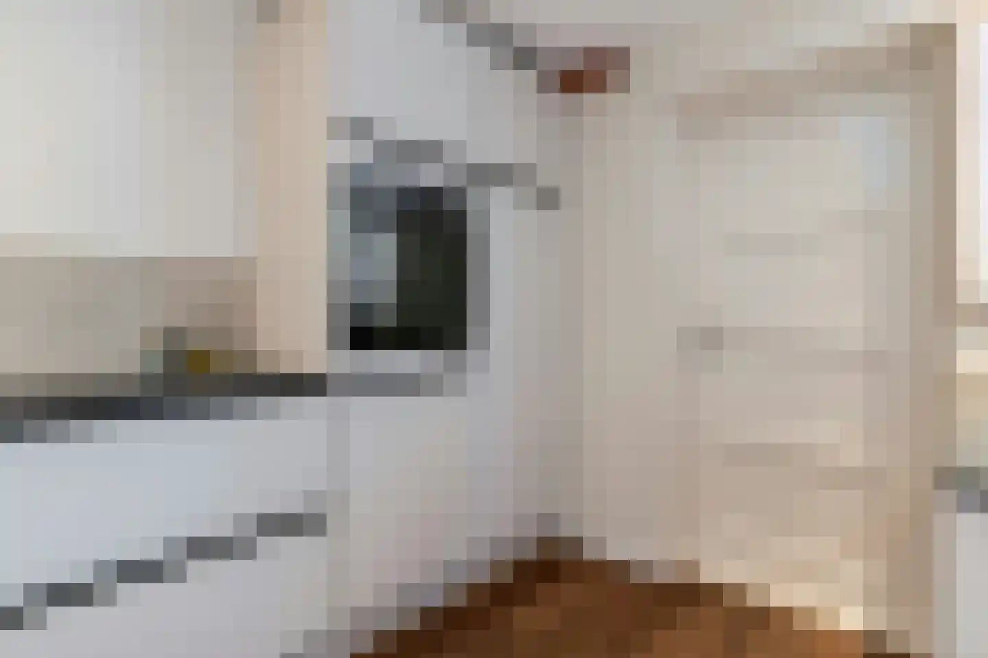 Bunnemaheerd 74 Groningen thumbnail 20