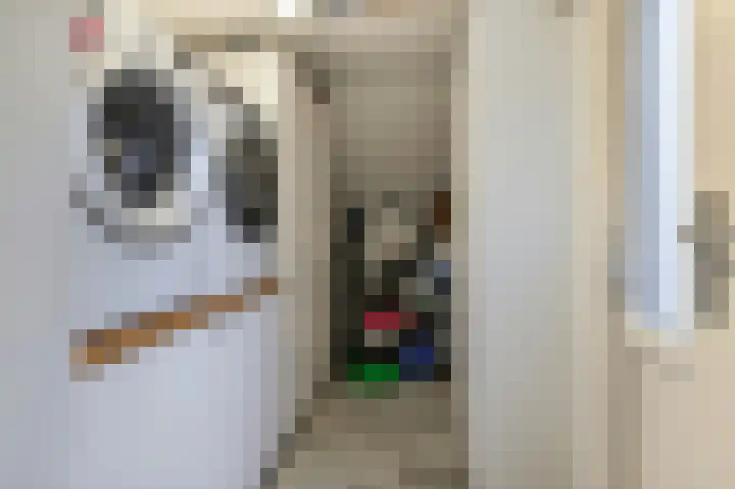 Bunnemaheerd 74 Groningen thumbnail 24