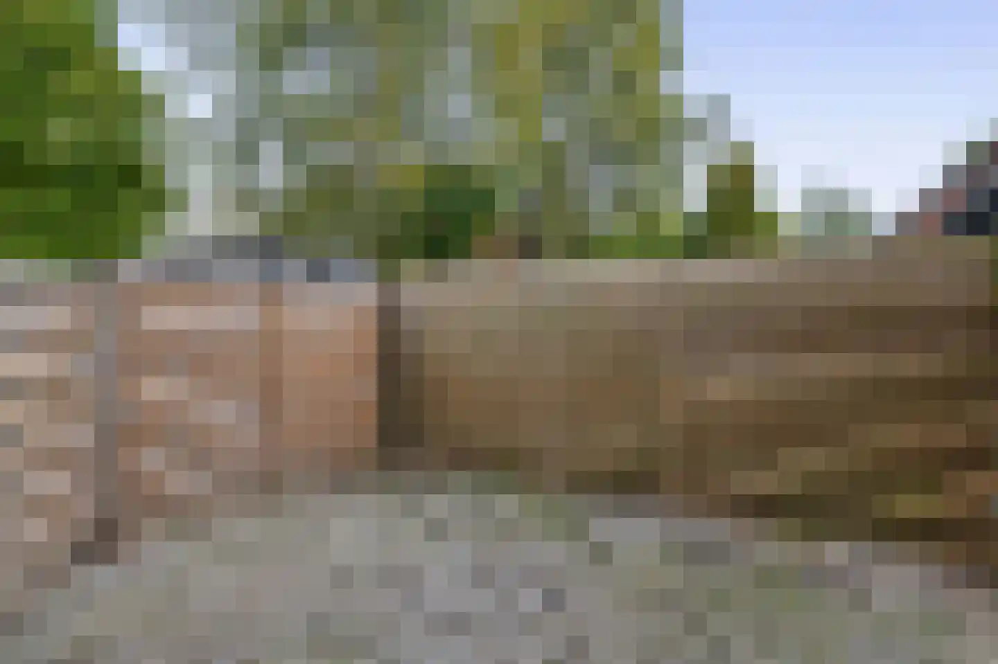 Bunnemaheerd 74 Groningen thumbnail 27
