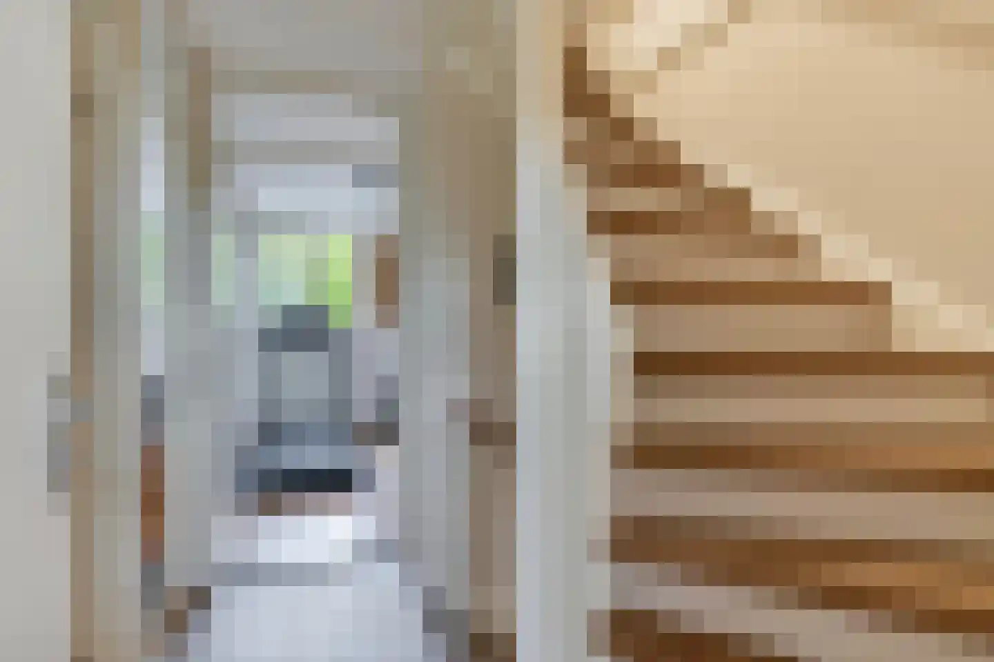 Bunnemaheerd 74 Groningen thumbnail 28