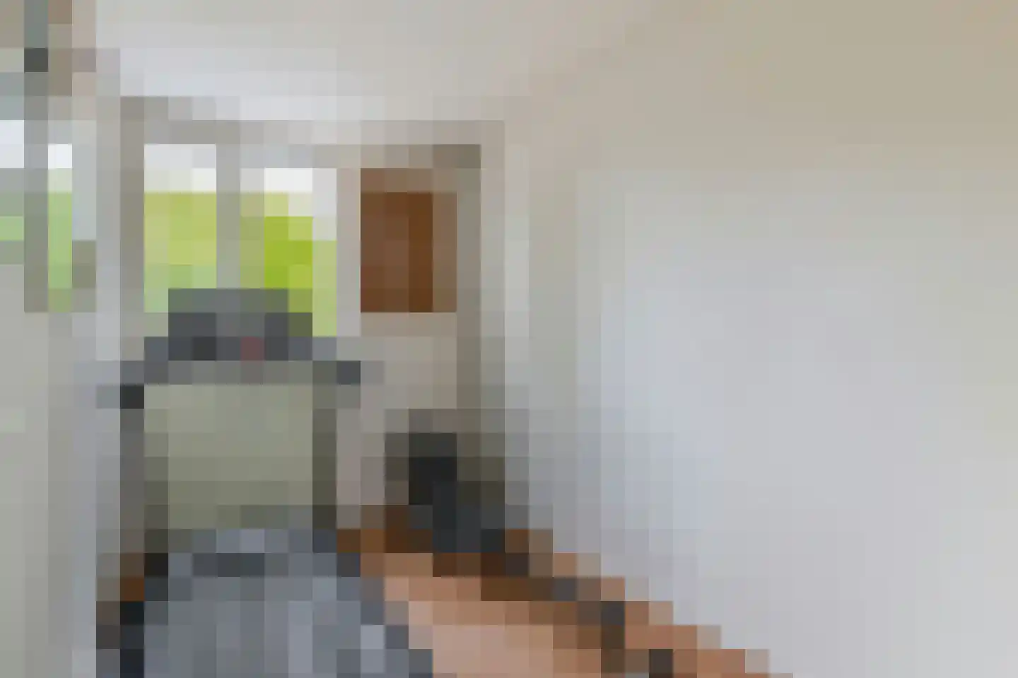Bunnemaheerd 74 Groningen thumbnail 29