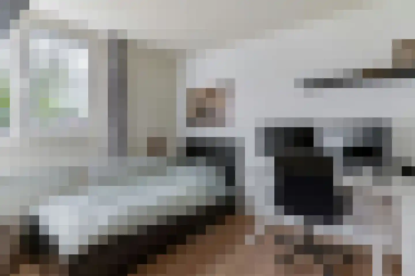 Bunnemaheerd 74 Groningen thumbnail 32
