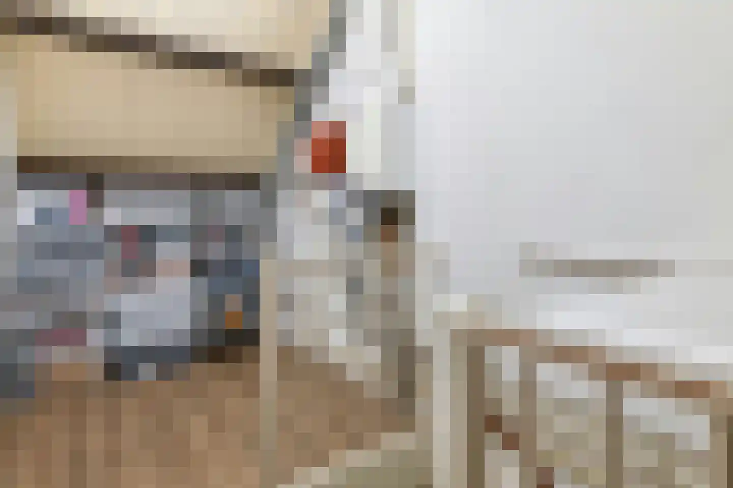 Bunnemaheerd 74 Groningen thumbnail 36
