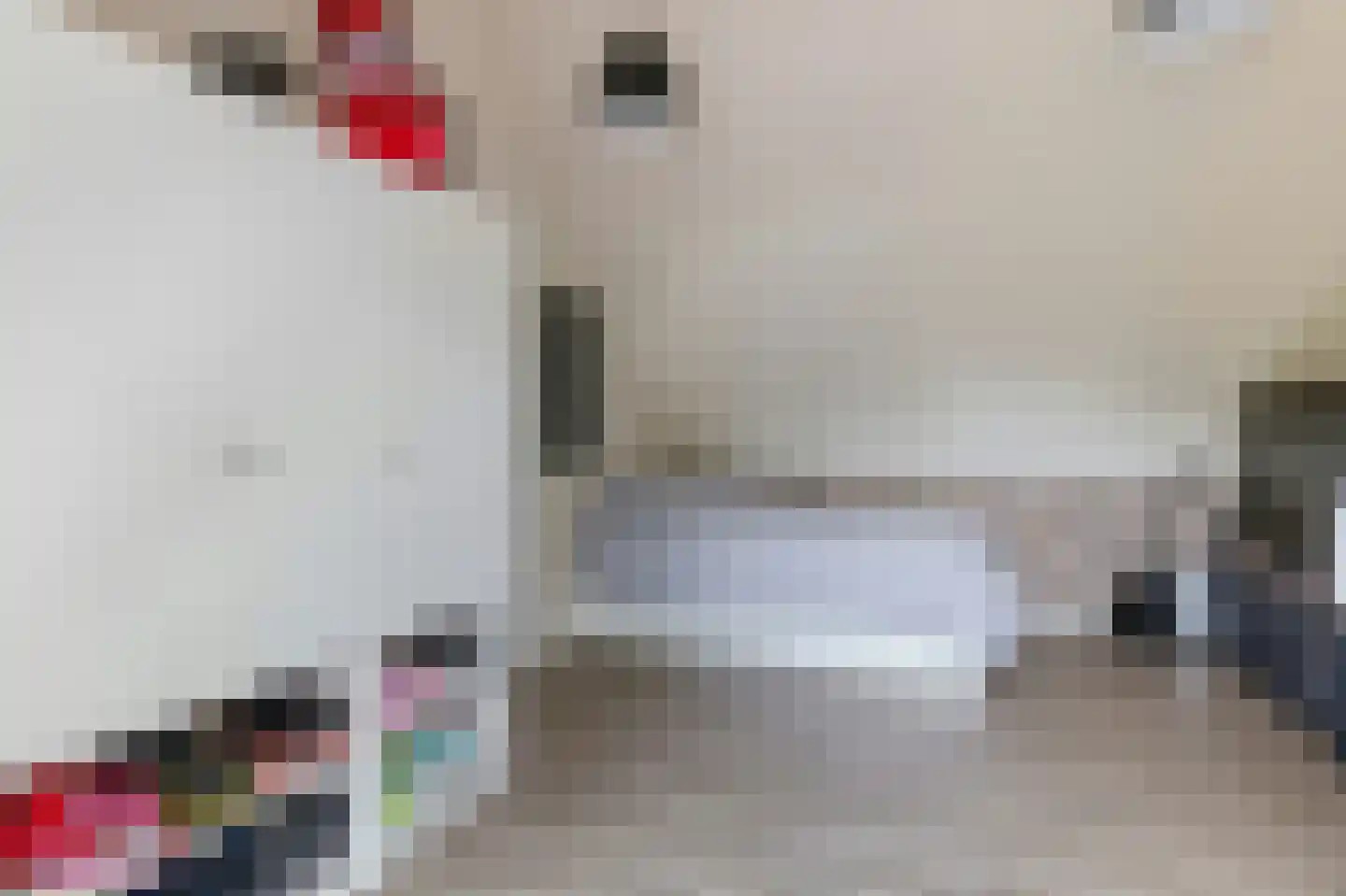 Bunnemaheerd 74 Groningen thumbnail 38