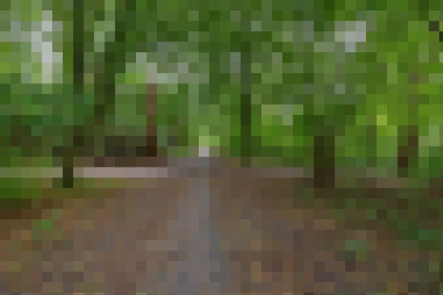Bunnemaheerd 74 Groningen thumbnail 40
