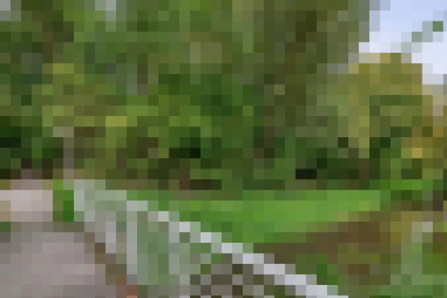 Bunnemaheerd 74 Groningen thumbnail 41