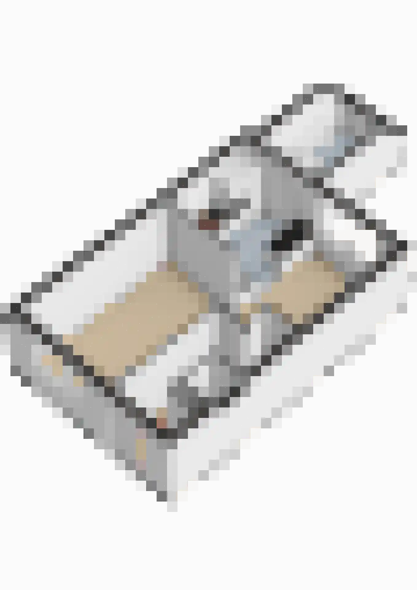 Bunnemaheerd 74 Groningen thumbnail 45