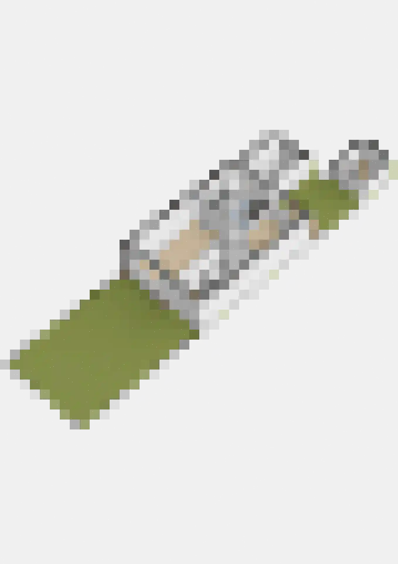 Bunnemaheerd 74 Groningen thumbnail 53
