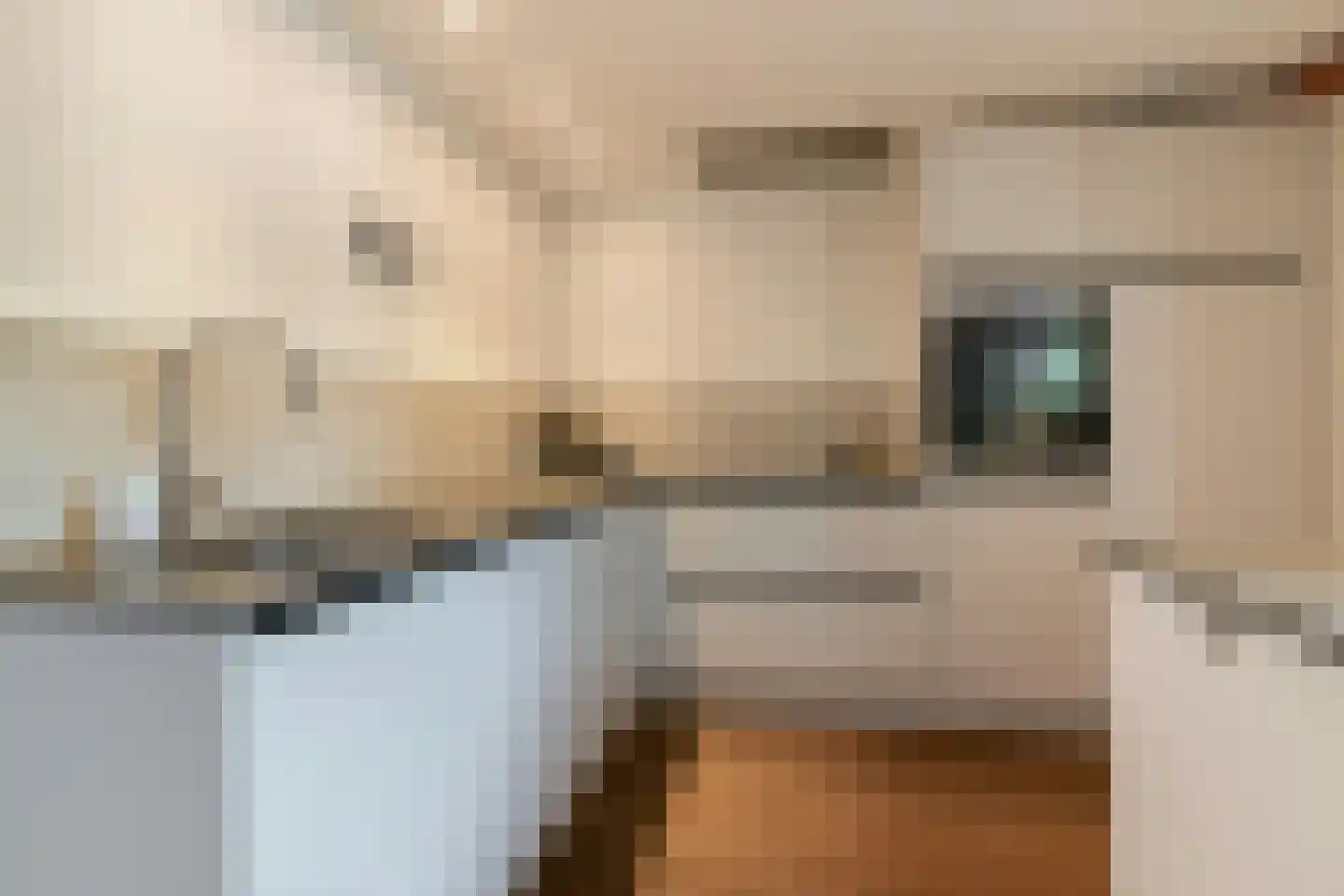 Bunnemaheerd 74 Groningen thumbnail 6