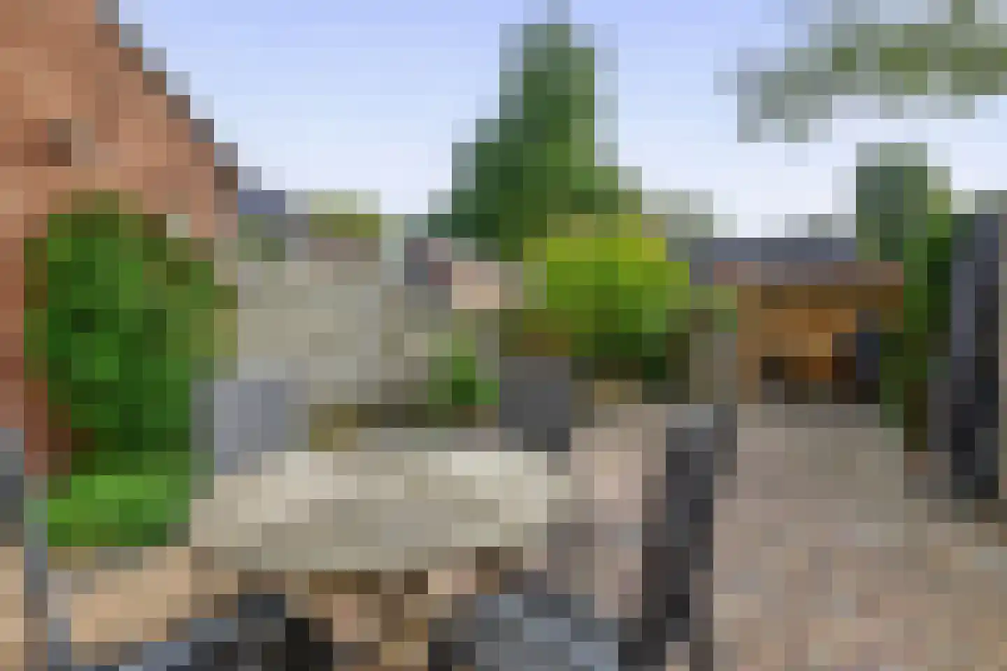 Bunnemaheerd 74 Groningen thumbnail 9