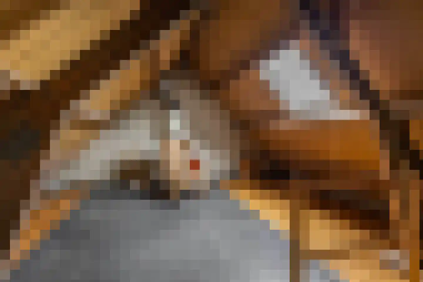 Bunnemaheerd 97 Groningen thumbnail 37