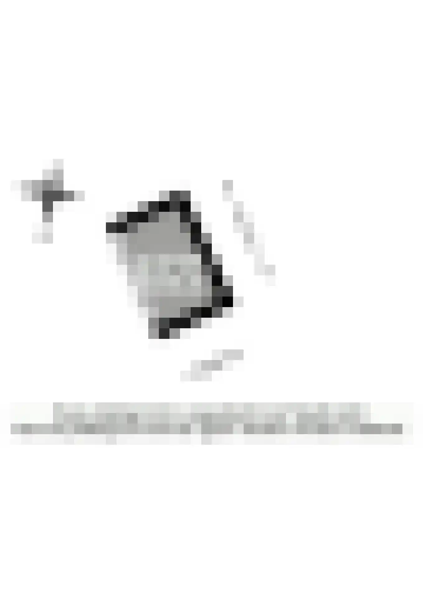 Bunnemaheerd 97 Groningen thumbnail 40