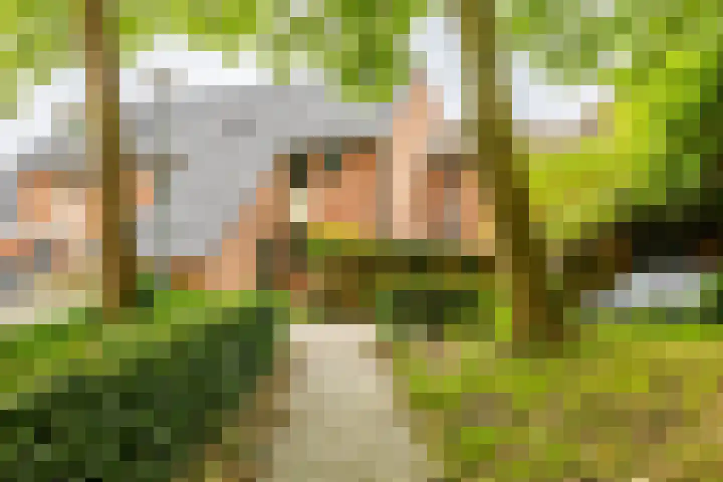 Bunnemaheerd 97 Groningen thumbnail 7