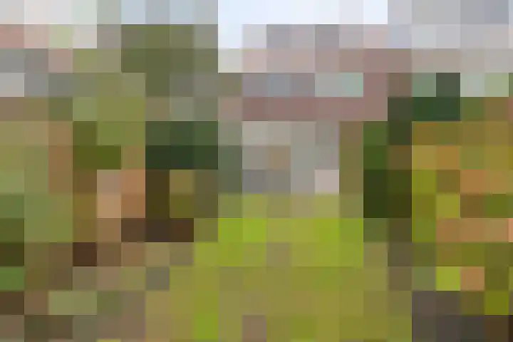 Bunnikstraat 3 in Den Haag