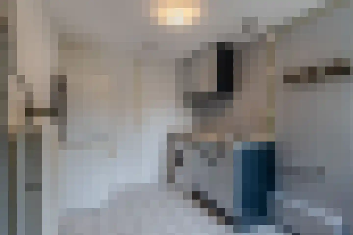 Bunschotenlaan 36 Emmeloord thumbnail 25
