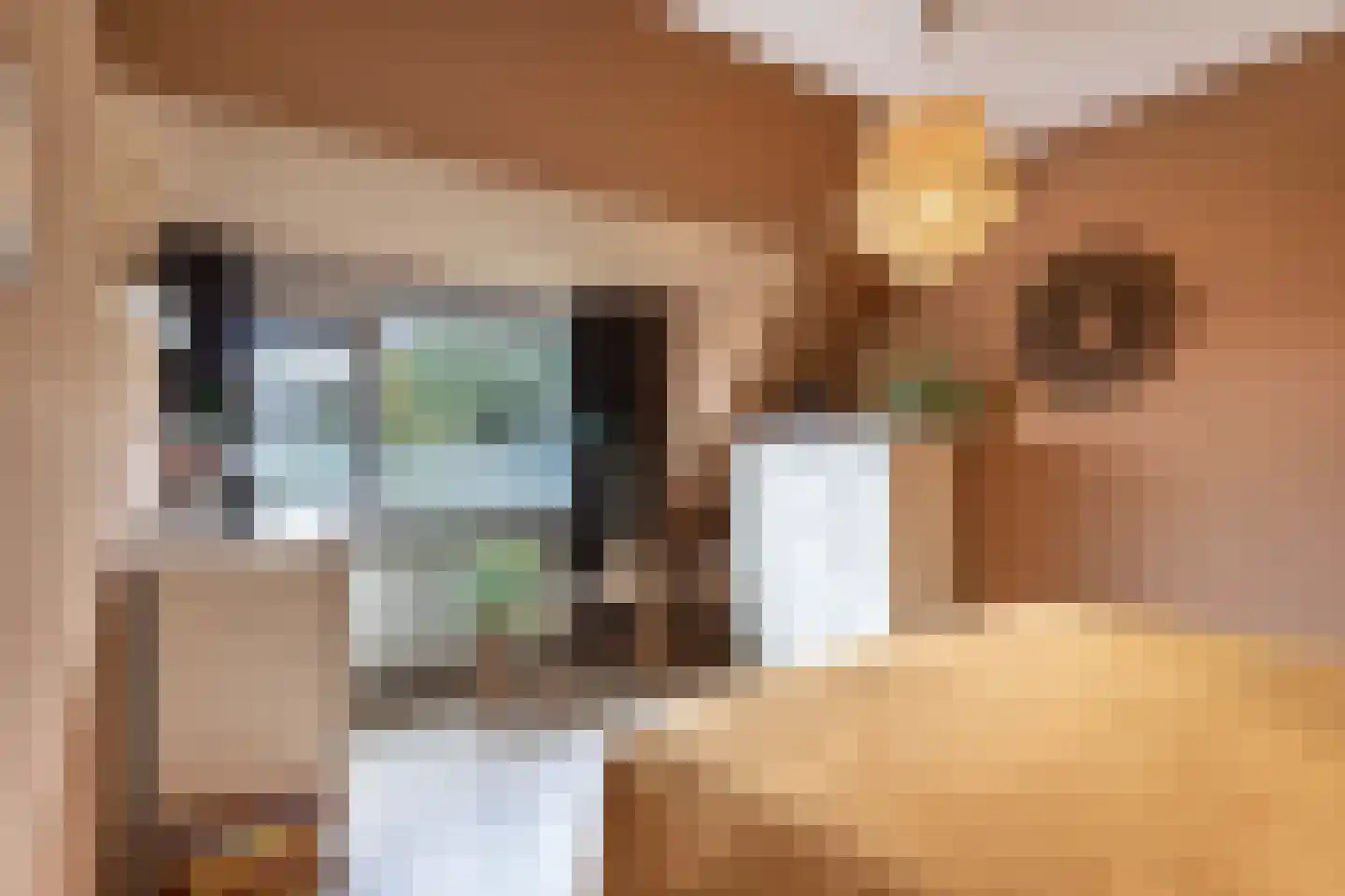 Bunschotenlaan 36 Emmeloord thumbnail 27