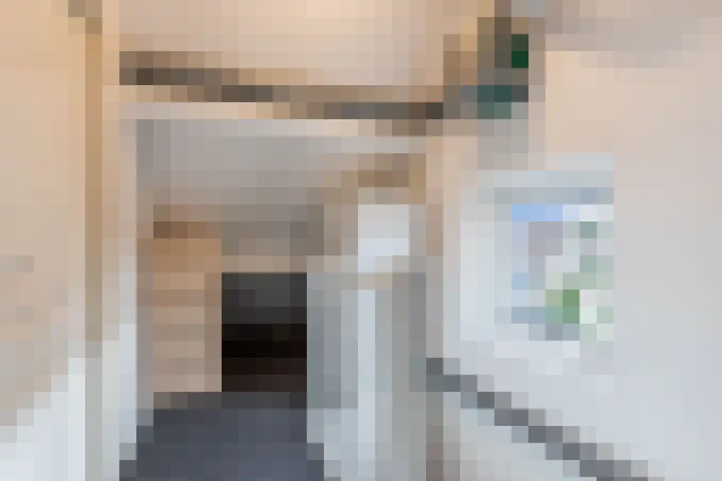 Bunschotenlaan 36 Emmeloord thumbnail 36