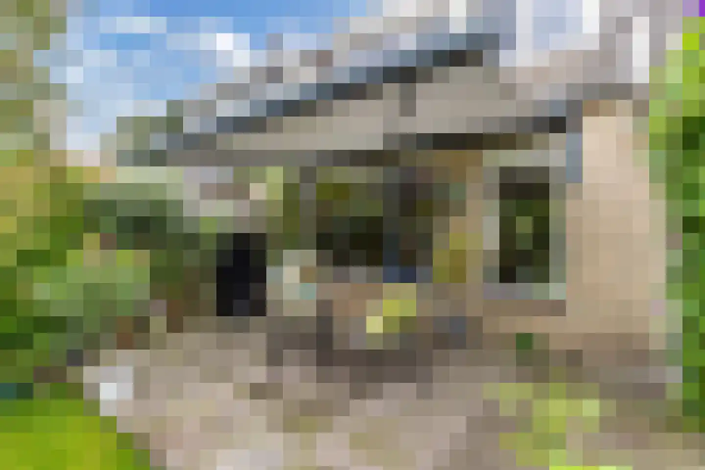 Bunschotenlaan 36 Emmeloord thumbnail 41