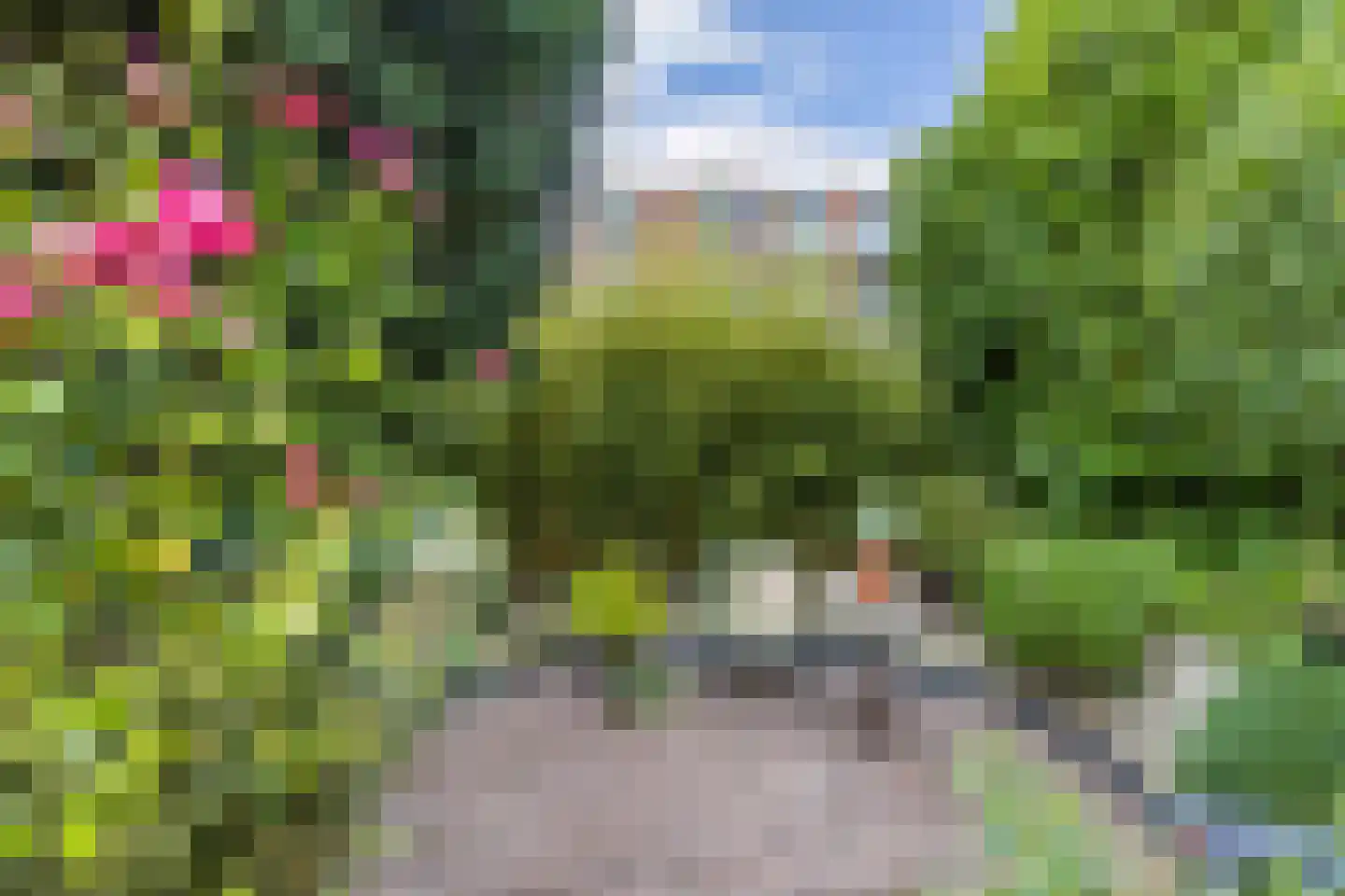 Bunschotenlaan 36 Emmeloord thumbnail 45