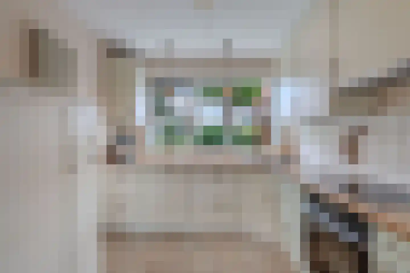 Bunschotenlaan 36 Emmeloord thumbnail 7