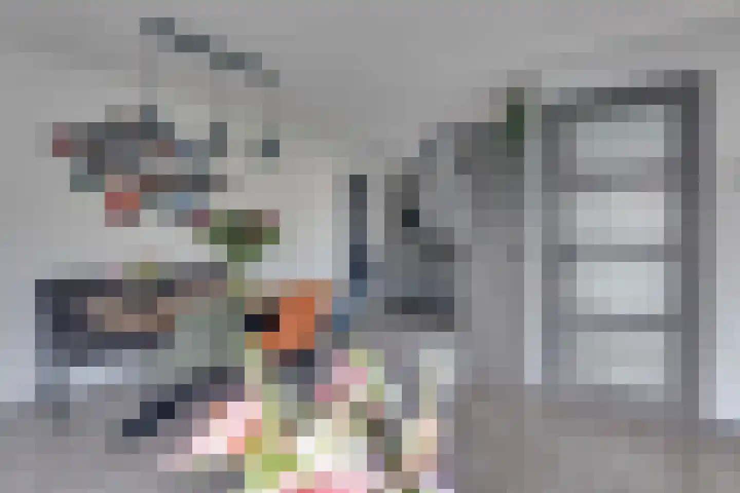 Bunschotenlaan 47 Emmeloord thumbnail 11