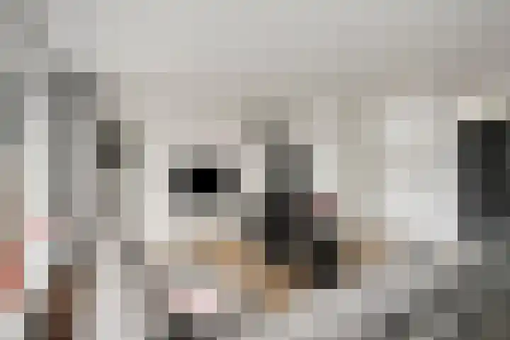 Bunschotenlaan 54 Emmeloord thumbnail 11