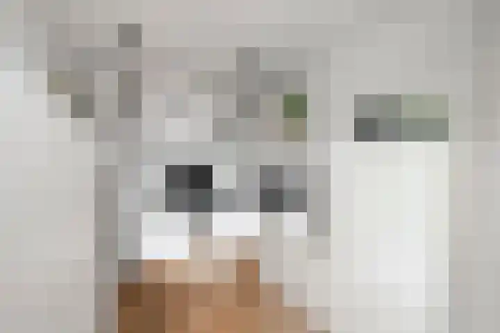 Bunschotenlaan 54 Emmeloord thumbnail 17