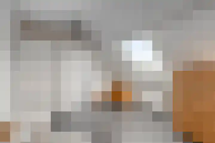 Bunschotenlaan 54 Emmeloord thumbnail 24