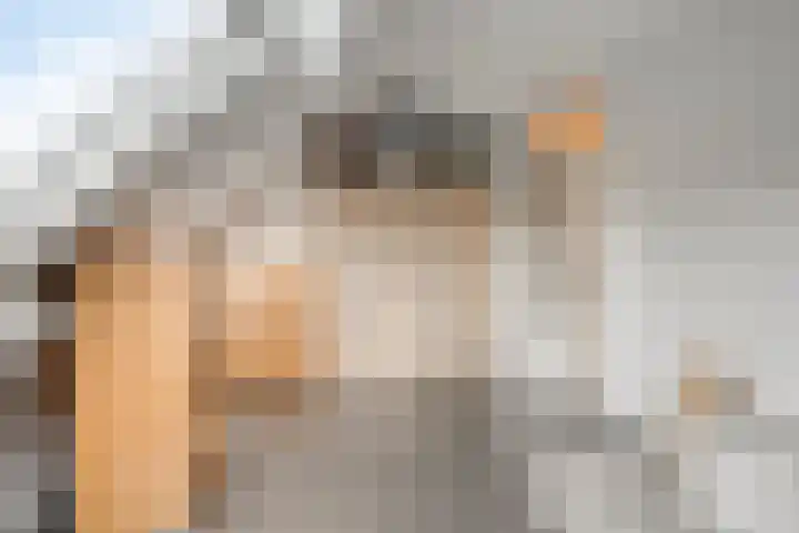 Bunschotenlaan 54 Emmeloord thumbnail 25