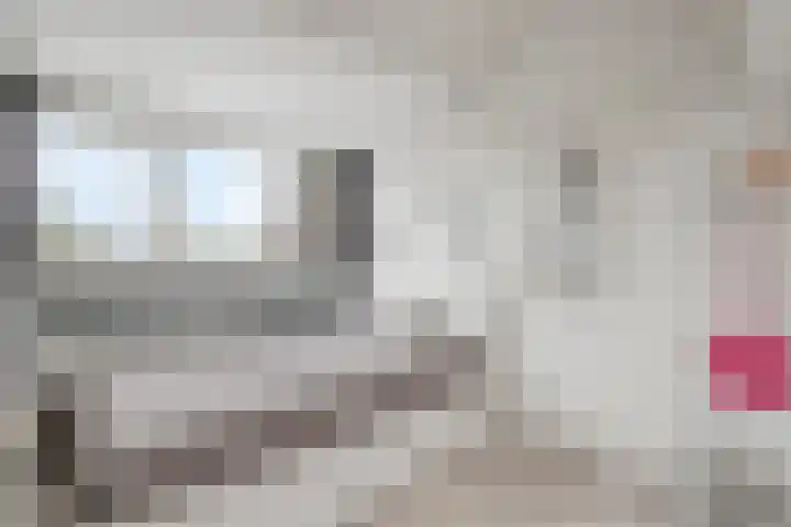Bunschotenlaan 54 Emmeloord thumbnail 27