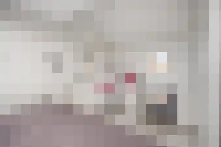 Bunschotenlaan 54 Emmeloord thumbnail 28