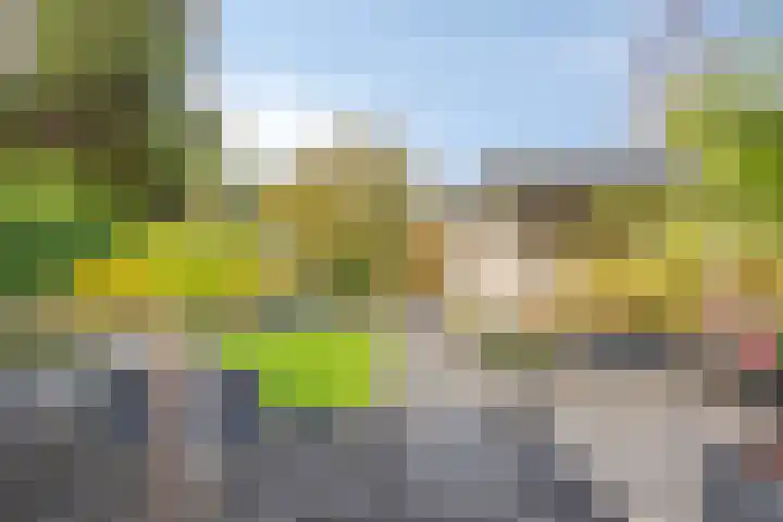 Bunschotenlaan 54 Emmeloord thumbnail 31