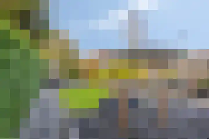 Bunschotenlaan 54 Emmeloord thumbnail 32