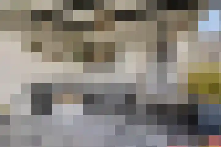 Bunschotenlaan 54 Emmeloord thumbnail 33