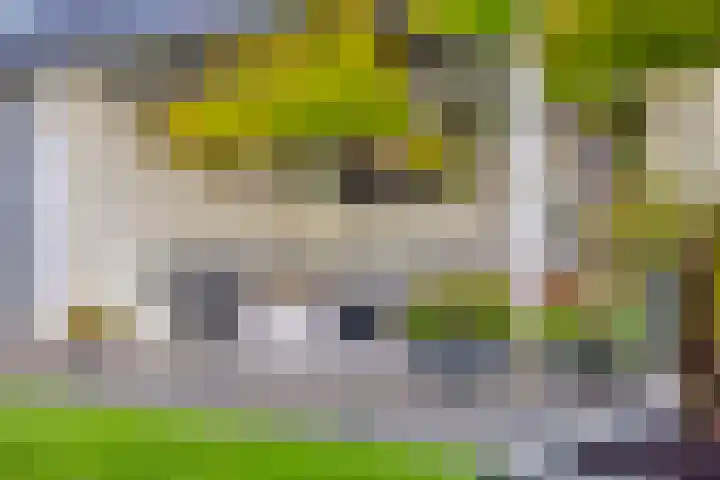 Bunschotenlaan 54 Emmeloord thumbnail 34
