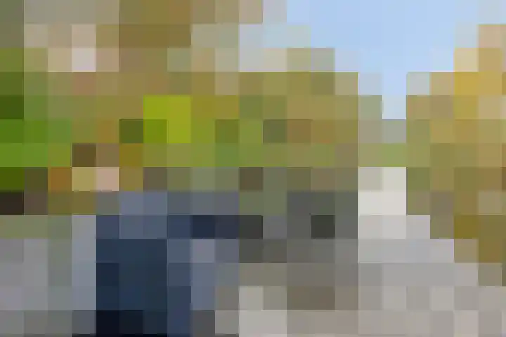 Bunschotenlaan 54 Emmeloord thumbnail 35