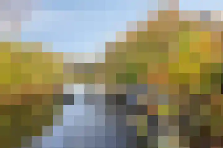 Bunschotenlaan 54 Emmeloord thumbnail 36