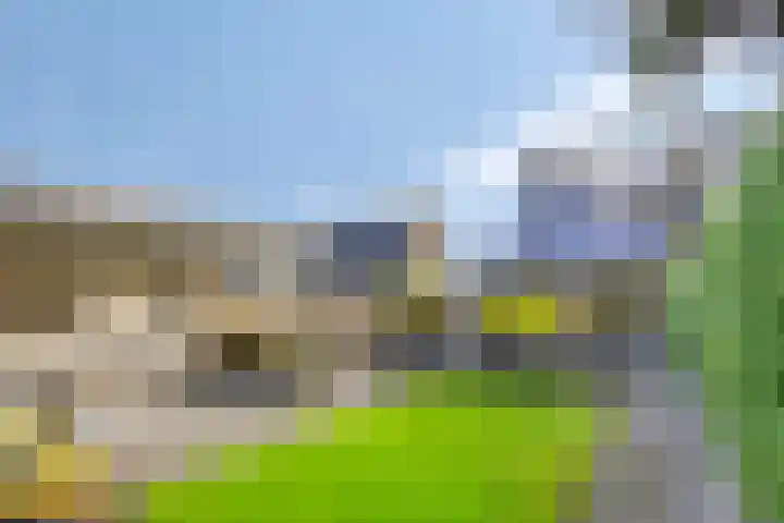 Bunschotenlaan 54 Emmeloord thumbnail 38