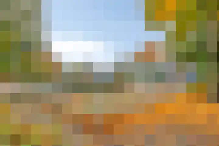 Bunschotenlaan 54 Emmeloord thumbnail 39