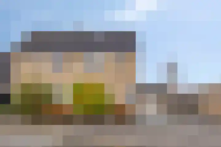 Bunschotenlaan 54 Emmeloord thumbnail 4