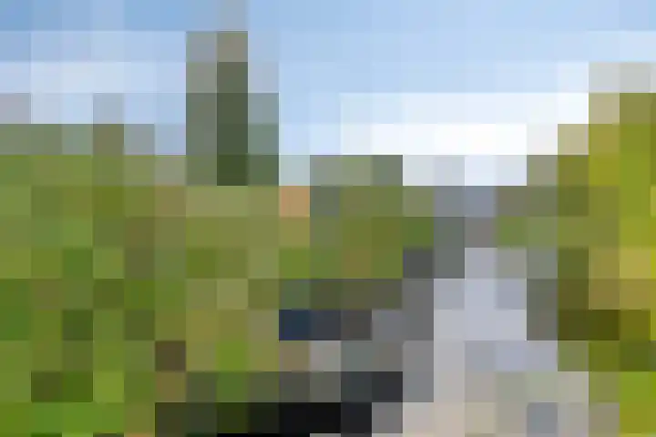 Bunschotenlaan 54 Emmeloord thumbnail 40