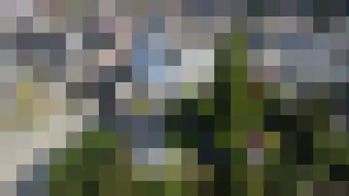 Bunschotenlaan 54 Emmeloord thumbnail 44