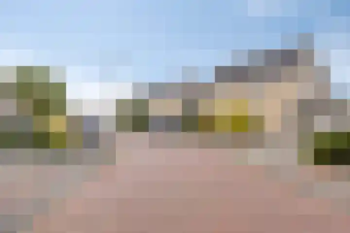Bunschotenlaan 54 Emmeloord thumbnail 6